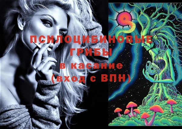 стаф Алзамай