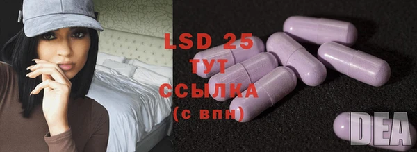 стаф Алзамай