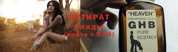 шишки Грязовец