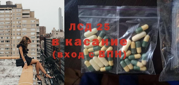 стаф Алзамай