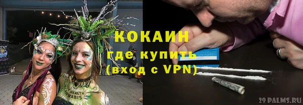 твердый Алексин