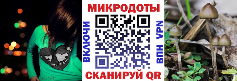 что такое наркотик  Ковылкино  Галлюциногенные грибы Psilocybe 